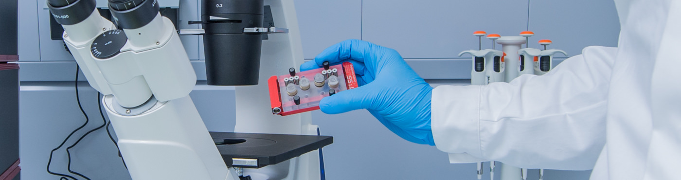Miniaturised organ equivalents for drug testing