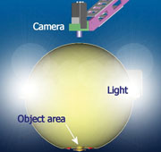 Schematic of integrating sphere. Internal reflection of the LEDs by the diffuse white inner surface of the sphere ensures diffuse homogeneous light for increased reproducibility, dynamic range, low scatter and shadow effects
