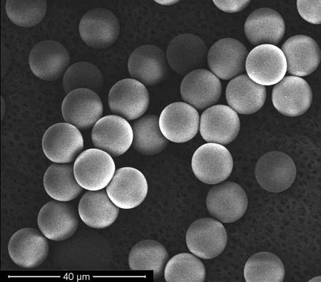 Figure 3: SEM image of 12 micron PLGA particles created with ET4ME (PR)