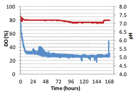 Figure 3: Regulation of dissolved oxygen (blue) and pH (red) during cultivation