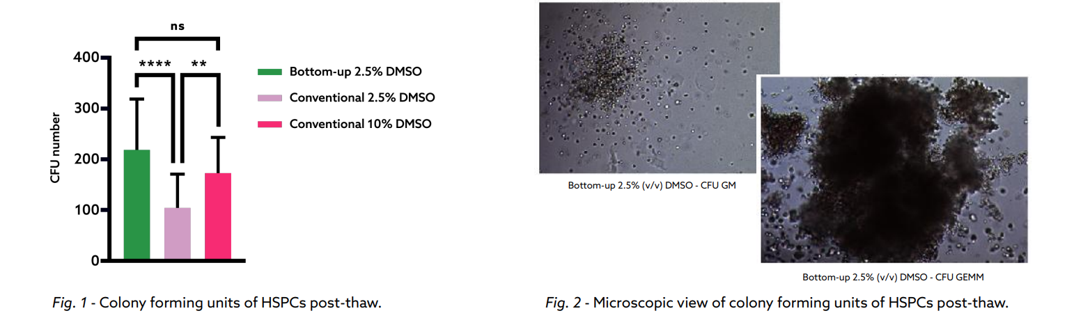 Optimising cryovial filling and cryopreservation for reliable cell functionality