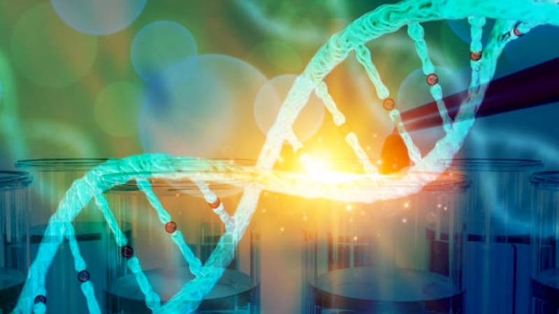 Oxford Genetics to deliver custom CRISPR mammalian cell lines 