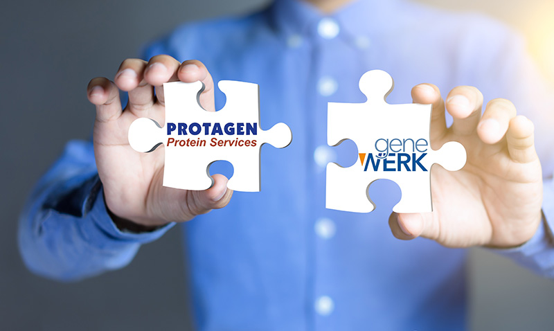 Protagen Protein Services merges with GeneWerk