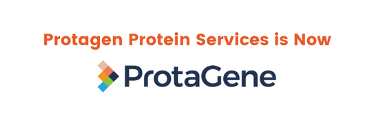 Protagen rebrands as ProtaGene following merger 