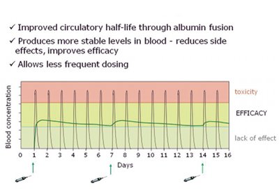 <i>Fig. 4: Schematic showing how albufuse avoids high peaks or low levels of drug occurring following delivery to the patient</i>