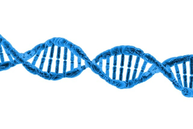 Recombinant versus synthetic peptide synthesis: the perks and drawbacks