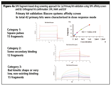 Figure 4a: SPR fragment-based drug screening approach for: (a) Primary hit validation using SPR affinity screen and (b) Orthogonal hit confirmation: SPR, NMR and DSF