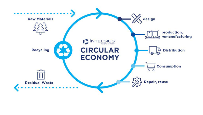 Sustainability in cold chain logistics: The role of a circular economy