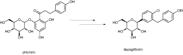 Bristol-Myers Squibb converted phlorizin to dapagliflozin