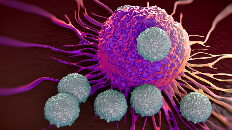 Terumo and PhotonPharma collaborate on cancer immunotherapy 