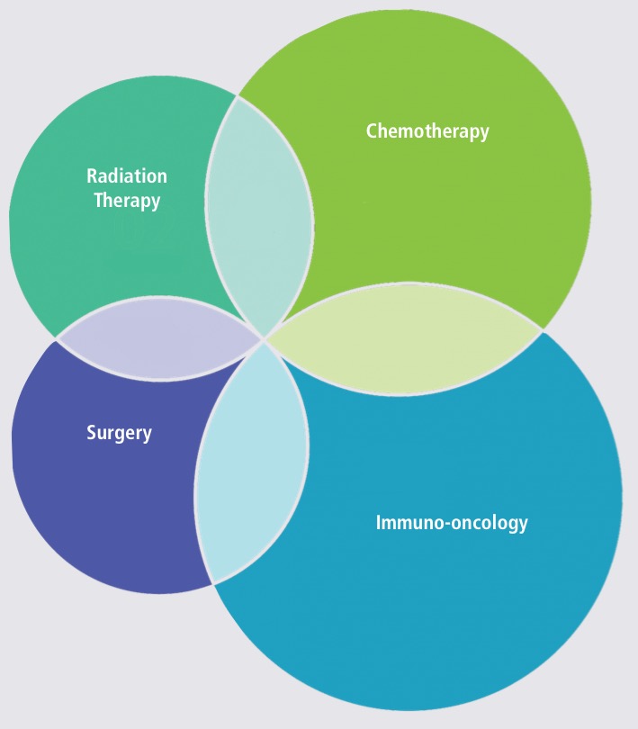The growth of immuno-oncology: active, passive and hybrid treatments into 2020