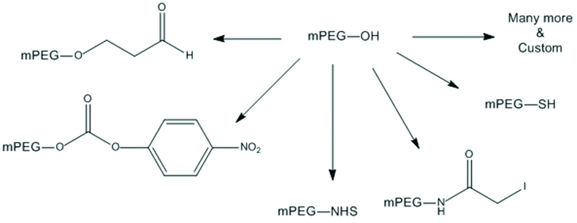  Figure 1: mPEG-OH is the key raw material for the manufacture of activated mPEGs