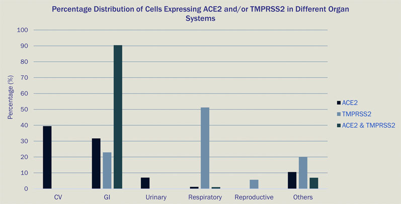 Figure 1: Percentage distribution of cells expressing ACE2 and/or TMPRSS2 in different organ systems
