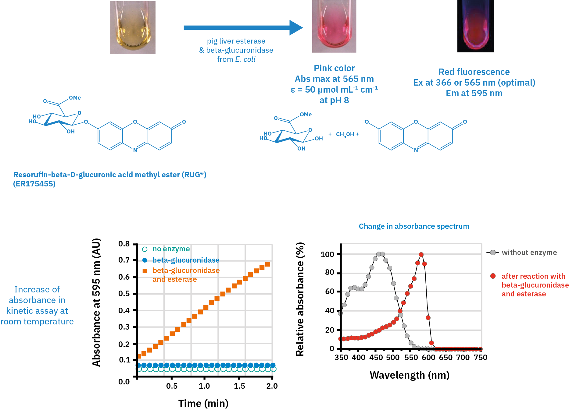 The rise of small molecule enzyme substrates in microbiology