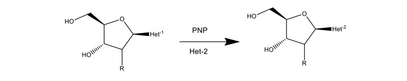 Figure 10: Application of PNPs to make nucleosides