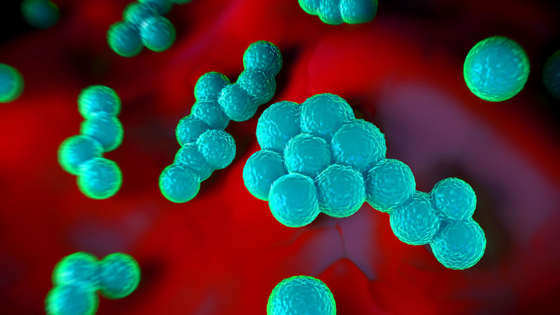 Treating infection with precise medicine may prevent our next pandemic
