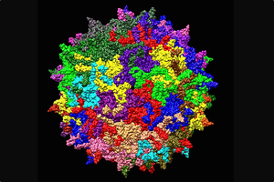 Ascend Advanced Therapies expands US footprint through Advanced BioScience Laboratories merger