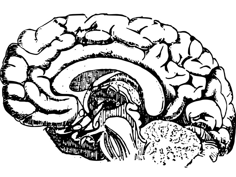 Asceneuron initiates neuroimaging trial for tau modifier ASN120290