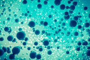 Astex enters into agreement with Merck to identify small molecule candidates