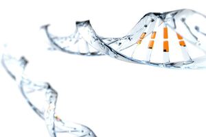 AstraZeneca joins forces with Silence to develop siRNA therapeutics