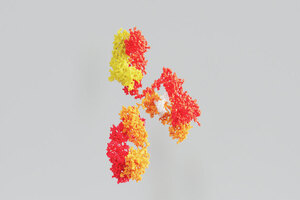 Astrazeneca to develop and commercialise Neurimmune antibody