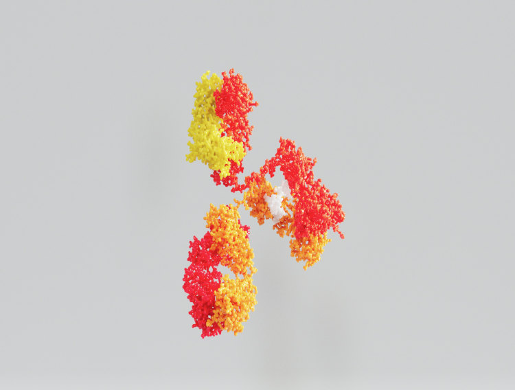 Astrazeneca to develop and commercialise Neurimmune antibody