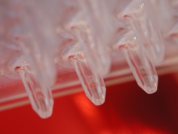 Asynt to provide Porvair microplates
