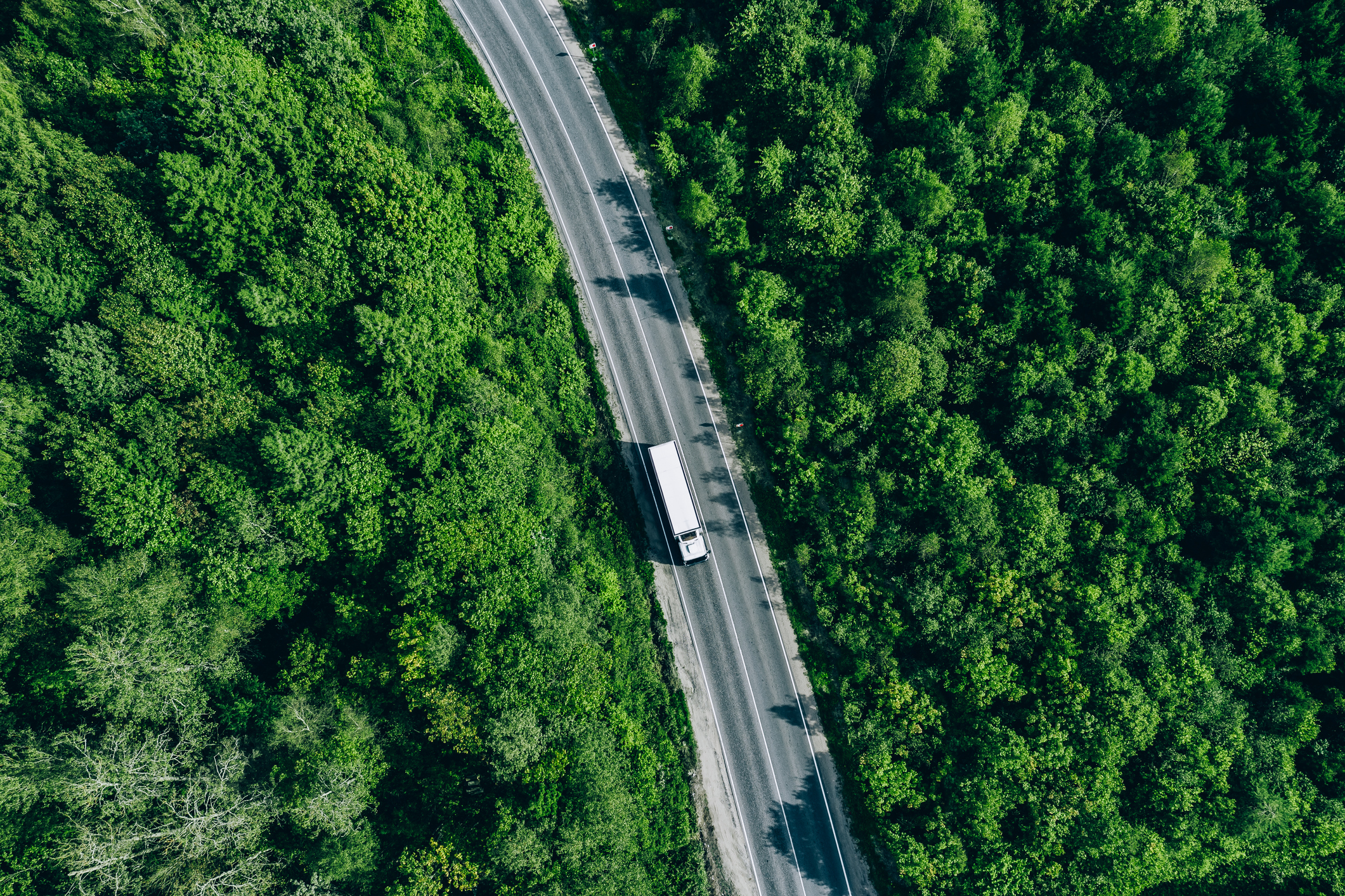 Atelerix and Rodon Global enter new partnership to create cryo-free logistics