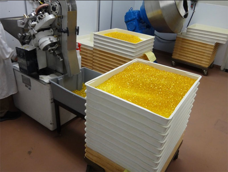 Auction of equipment from major nutraceutical soft gel manufacturer