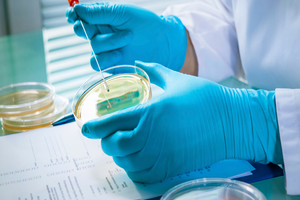 Avacta receives clinical validation for lateral flow test