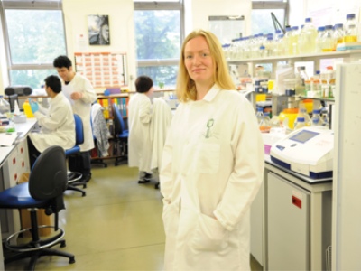 Bacteria-eating viruses could aid battle against superbugs