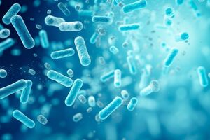 Balchem to showcase new line of probiotic stabilising excipients at SupplySide Global