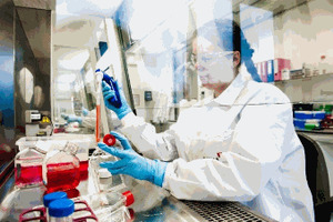 Batavia partners with IAVI to advance development of vaccine against Lassa fever