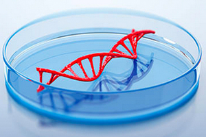 BIA Separations and Biomay collaborate on production and purification of large DNA plasmids