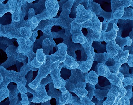 Bimodal silica: a game-changing ingredient
