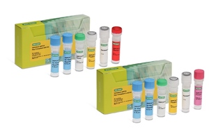Bio-Rad launches Vericheck ddPCR replication competent AAV and lentivirus kits for cell and gene therapy production