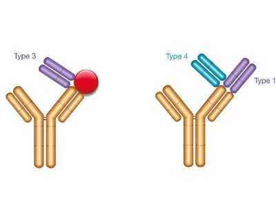 Bio-Rad publishes new findings on Drug-Target Complex-Specific Antibodies