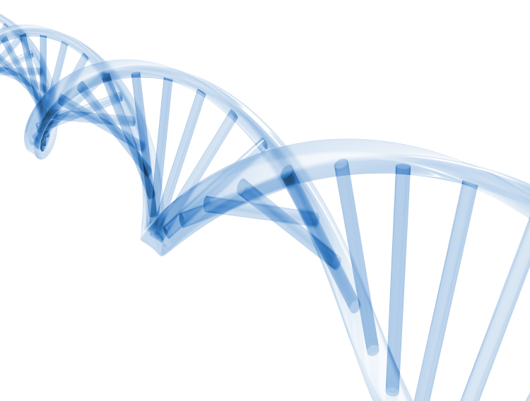 Biocatalysts launches Proteocut K to the life science market
