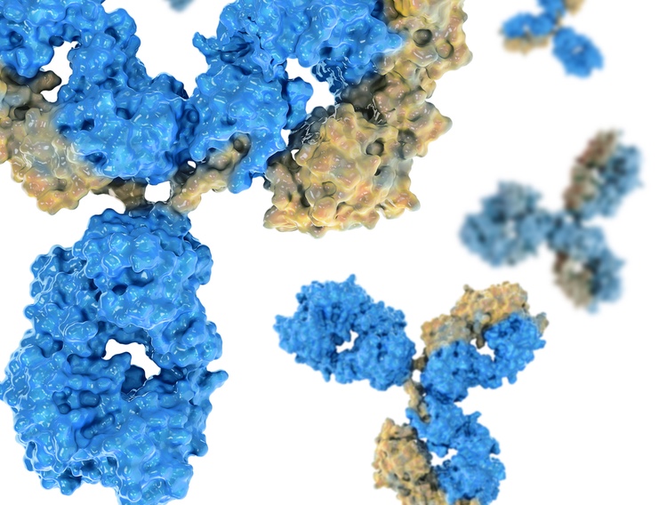 Biocytogen joins forces with CtM Bio to combine antibody tech