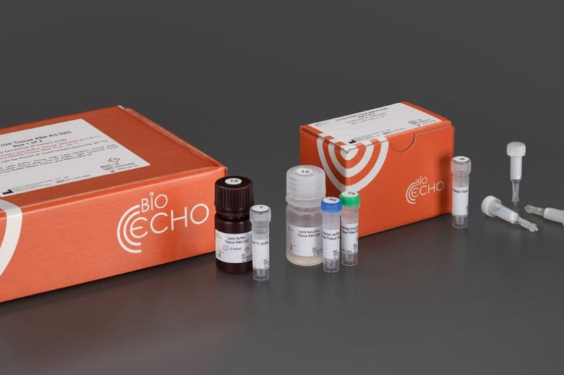 BioEcho Life Sciences introduces the EchoLUTION Tissue RNA Kit for fast and reliable RNA extraction without phenol/chloroform