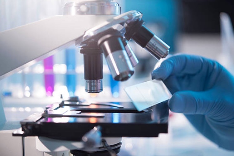 BioIVT granted Human Tissue Authority licence for a second UK site