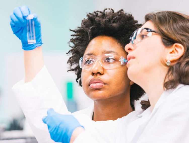 BioMed X Institute and Merck begin second immunology project