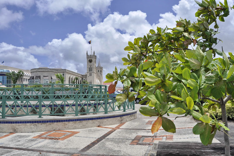 BioMed X partners with the Government of Barbados to advance early diabetic kidney disease therapy