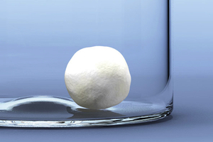bioMerieux leads the field with plant isolate service 