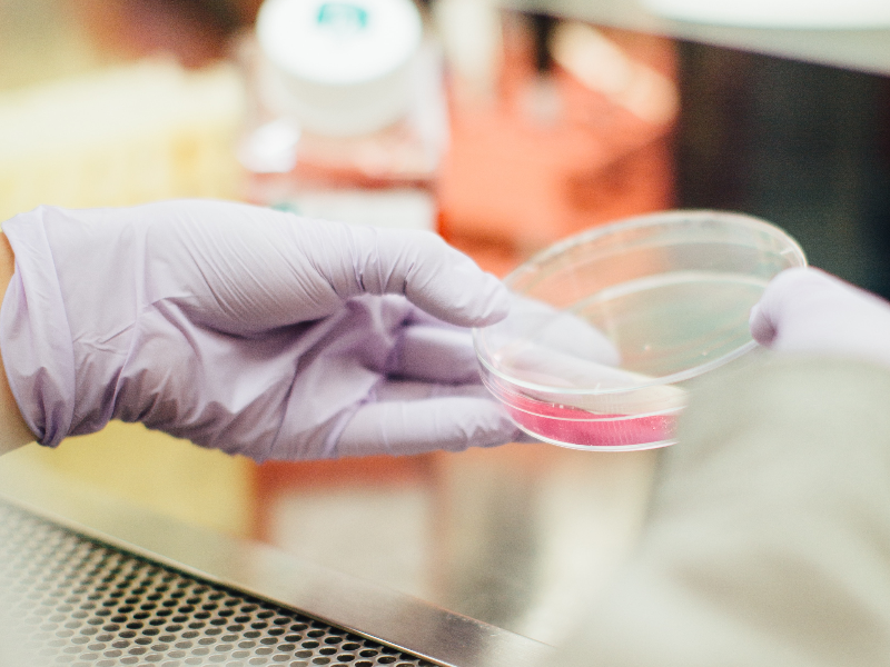 Biosynth extends peptide synthesis offering with Pepceuticals acquisition