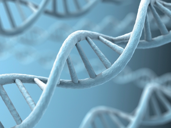 Biotech bounces back