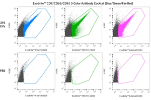Biotium launches new Antibody Cocktails for streamlined EV phenotyping or high-coverage EV staining