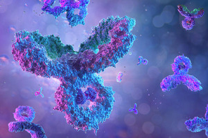 Bispecific antibodies: an exciting new class of emerging therapeutics