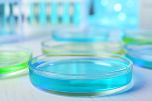 Bispecific antibodies in review: from cell line development to manufacturing
