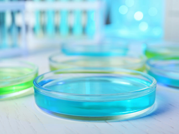 Bispecific antibodies in review: from cell line development to manufacturing